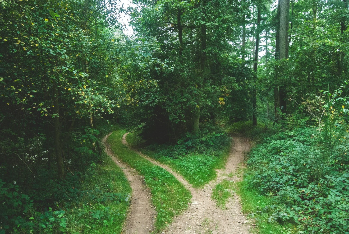 EMDR ou hypnose : quelle approche choisir selon votre situation ?